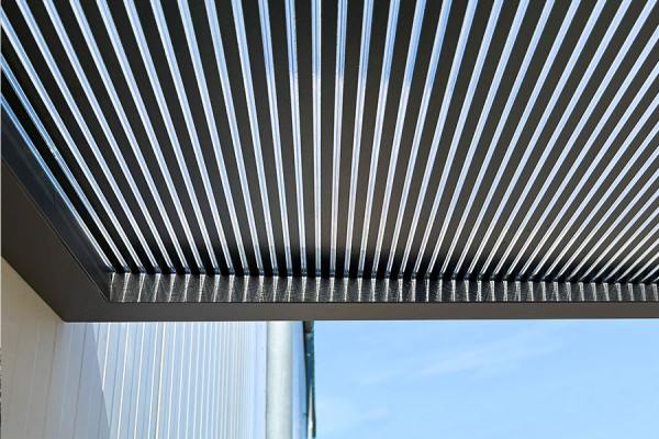 Photo n°4 of the BS 3D-LINE Front Door Canopy
